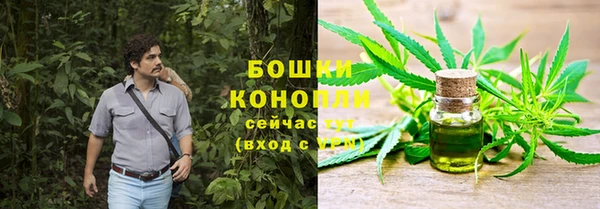 мяу мяу мука Аркадак