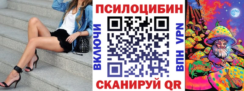 Купить закладки  Туран  Псилоцибиновые грибы MAGIC MUSHROOMS 